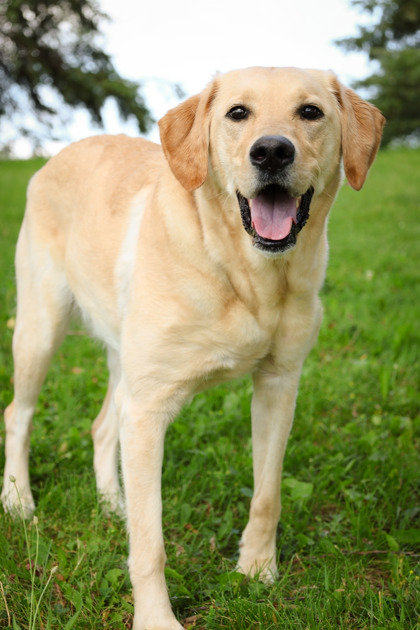 photo of Wilma