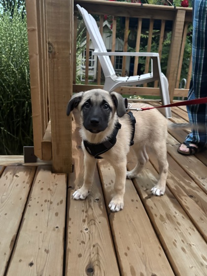 photo of Sabrina
