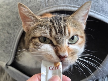 photo of Mable