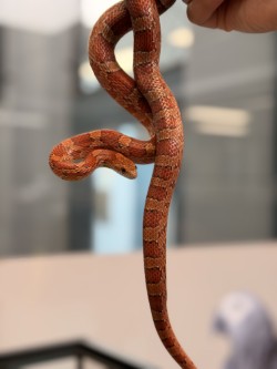 photo of Doug