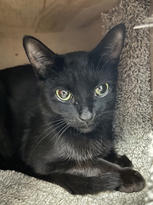 photo of Marcy