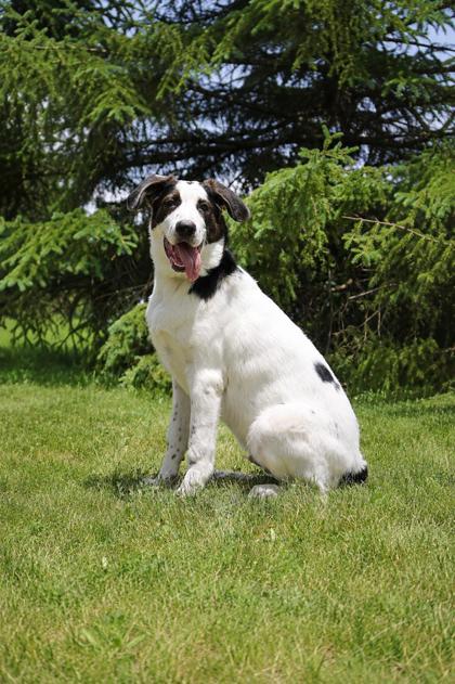 photo of Smudge