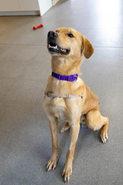 photo of Winston