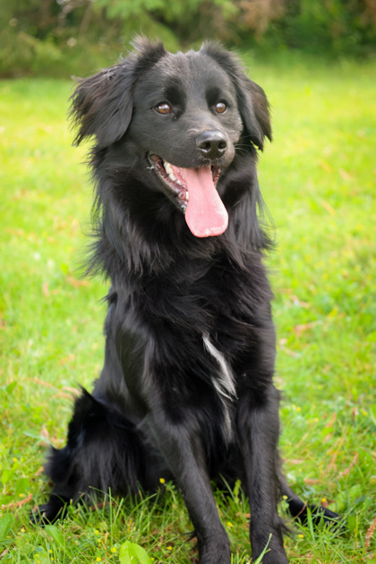 photo of Bernard