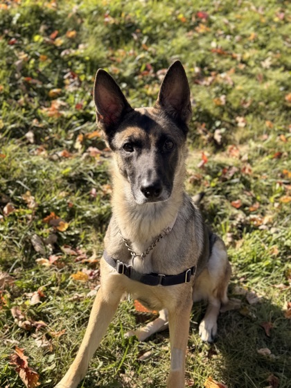 photo of Sandy