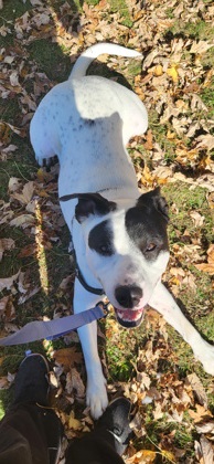 photo of Rosco