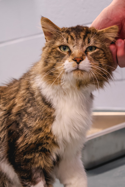 photo of Wilbur