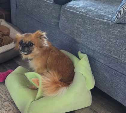 Winnie photo
