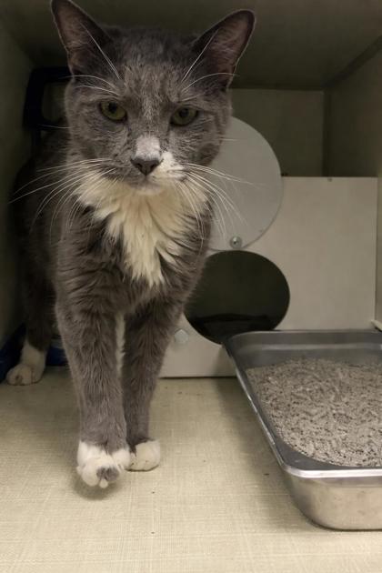 Levi (Special Needs)