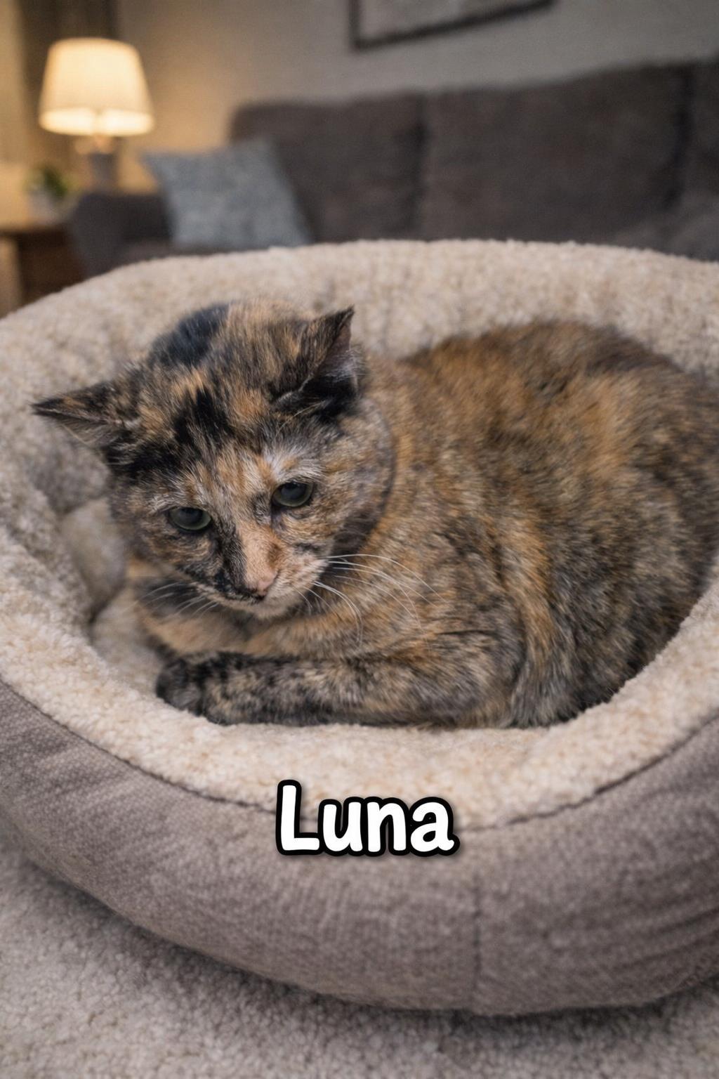 Luna
