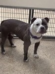 Bruno G 97% ( Out Of county)