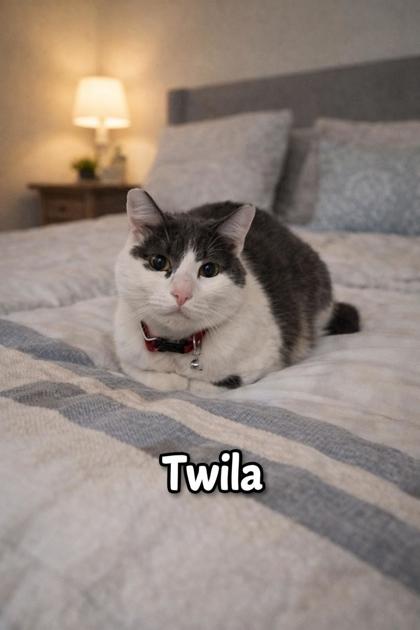 Twila