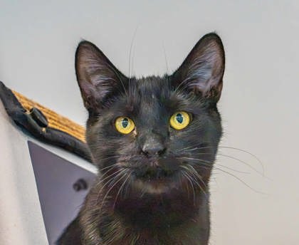 Marty photo