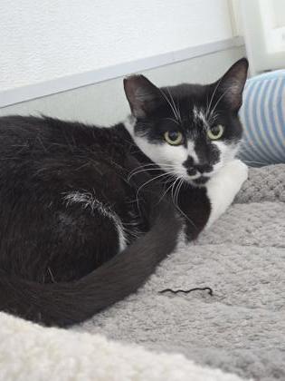 Smudge photo