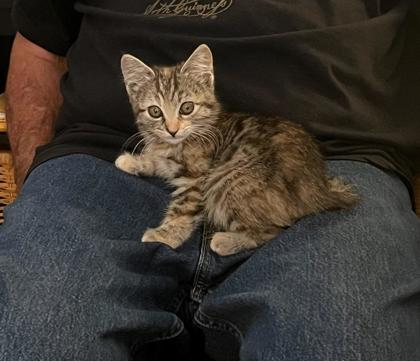 Sugar Baby photo