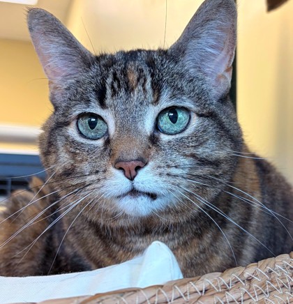 Gladys photo