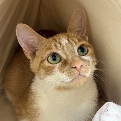 Mimi photo