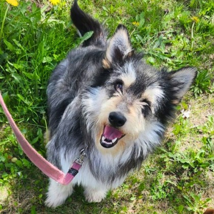 Walter photo