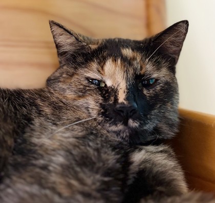 Betty photo