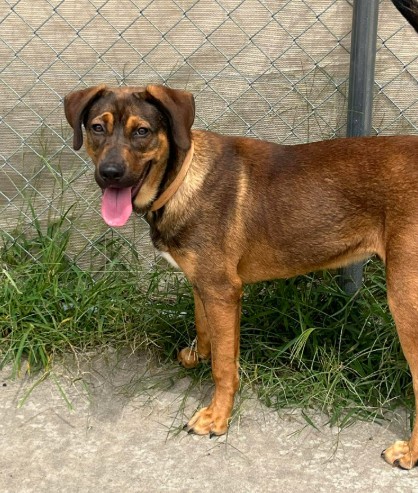 Tucker photo