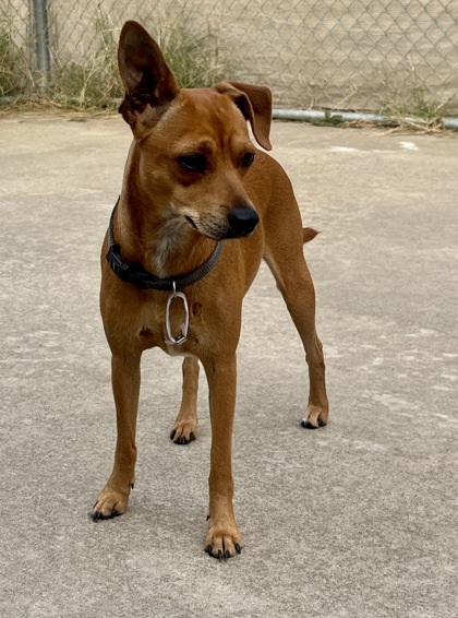Rocky photo