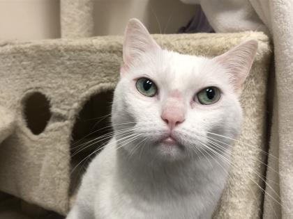 Pearl - see my video!