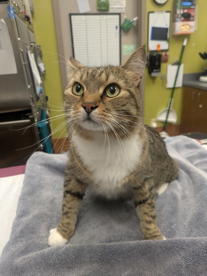 Photo of Jack Daniel