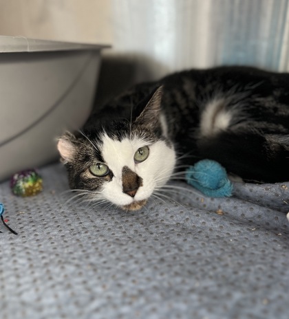 Photo of Carly *Sponsored*