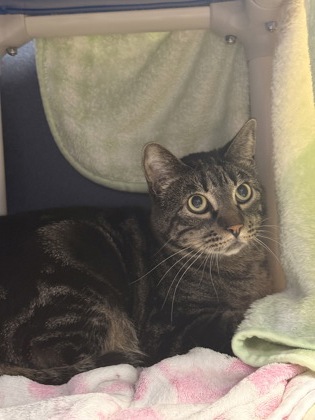 Photo of Henry Jr. *Sponsored*