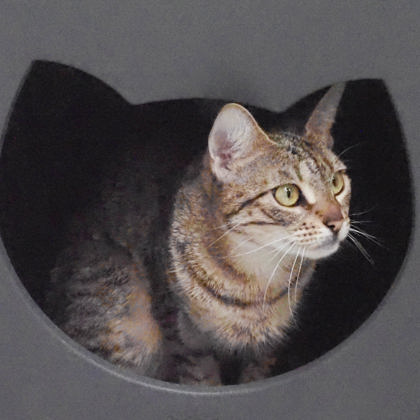 Eleanor photo