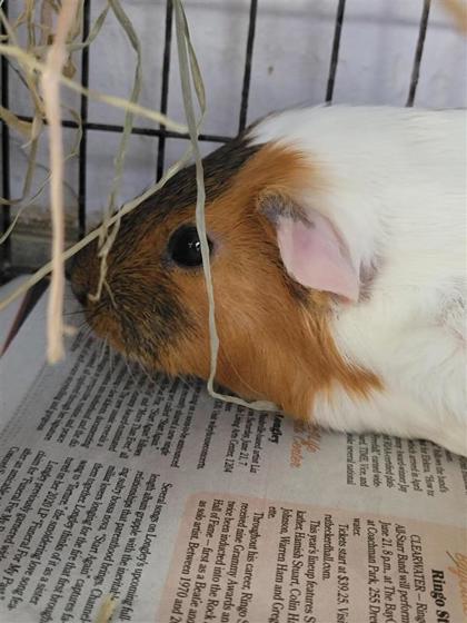 Doris photo