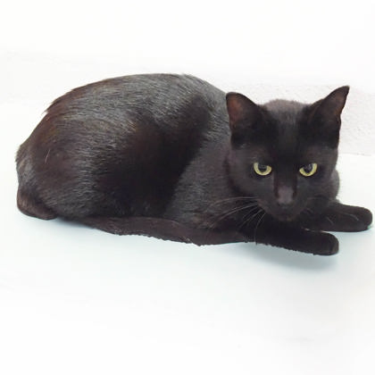 Juanita photo