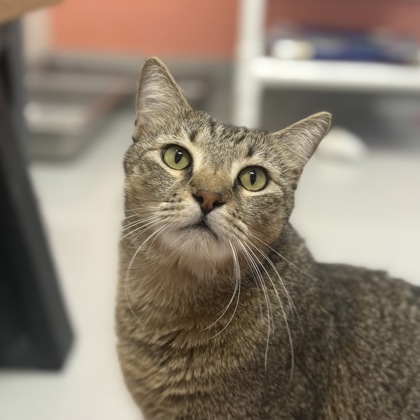 Franklin photo