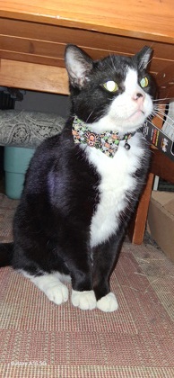Zeke photo 3