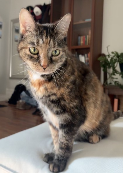 Missy photo 3