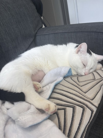 Kali photo 2