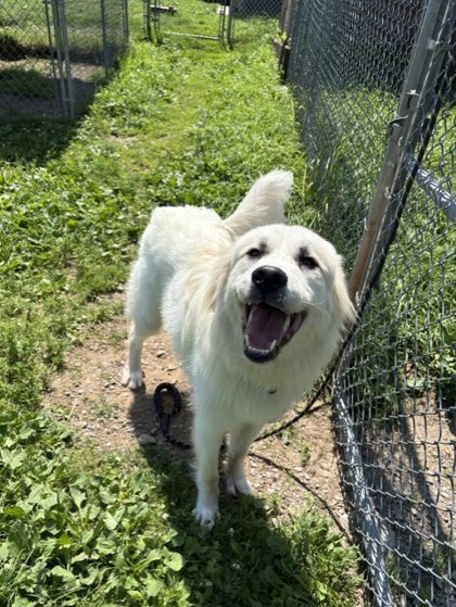 Charlie photo 2