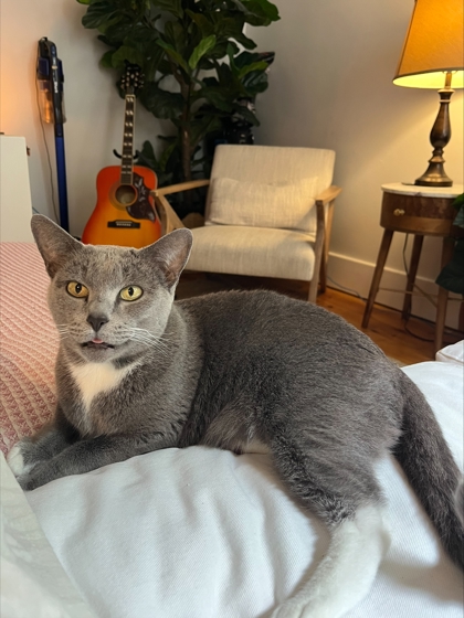 Mia photo 3