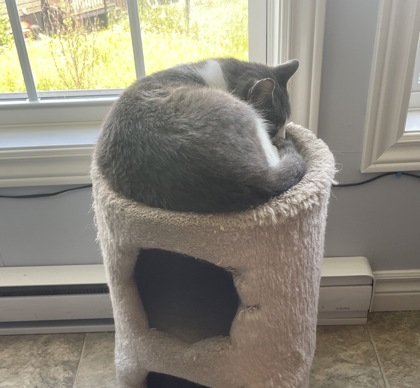 Charlie photo 3