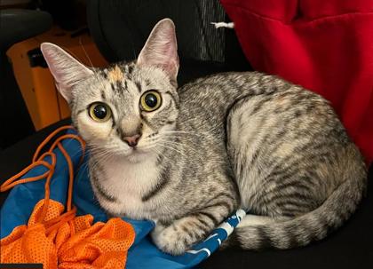 Photo of Thelma