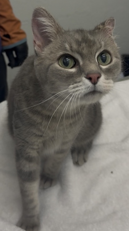 Photo of Mia