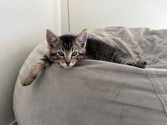 Photo of Cash
