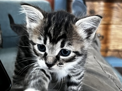 Photo of Fiona