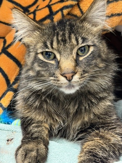 Photo of Rama