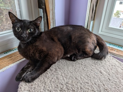 Photo of Alpha
