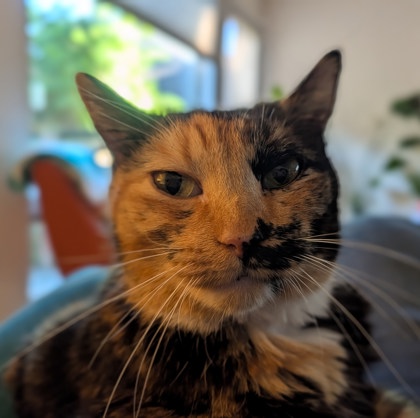 Photo of Asia
