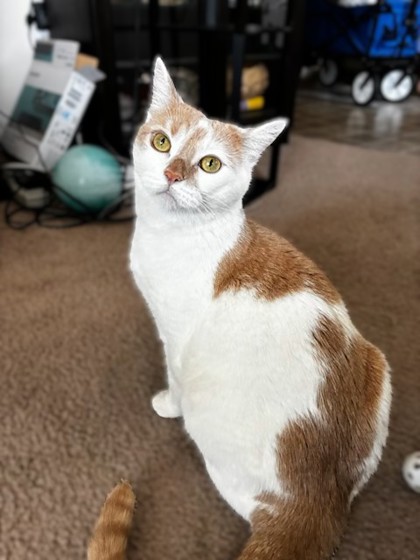 Photo of Ms. Missy