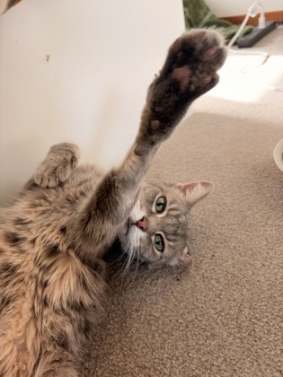 Photo of Mia