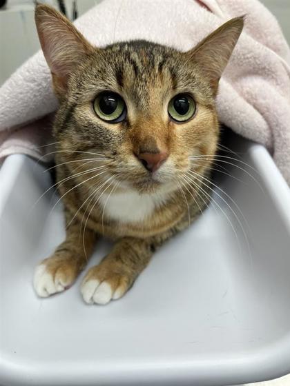 Photo of Mimi