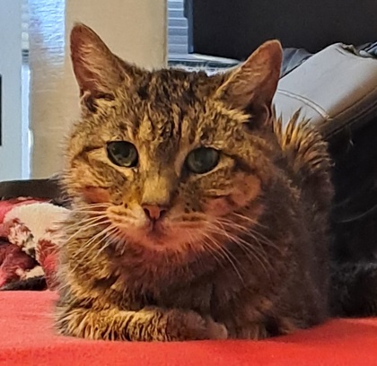 Photo of Jazz